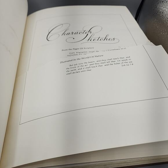 Character Sketches from the Pages of Scripture Illustrated Gothard 1st Edition - Picture 5 of 15